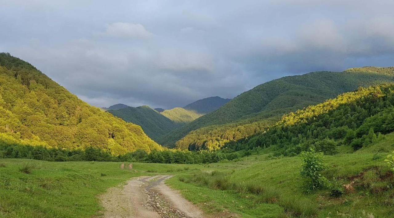 Casuta Din Rusca Βίλα Sebesu de Jos Εξωτερικό φωτογραφία